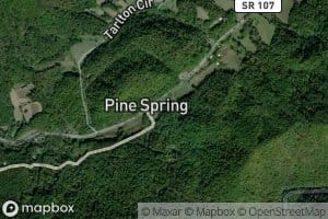 Pine Spring