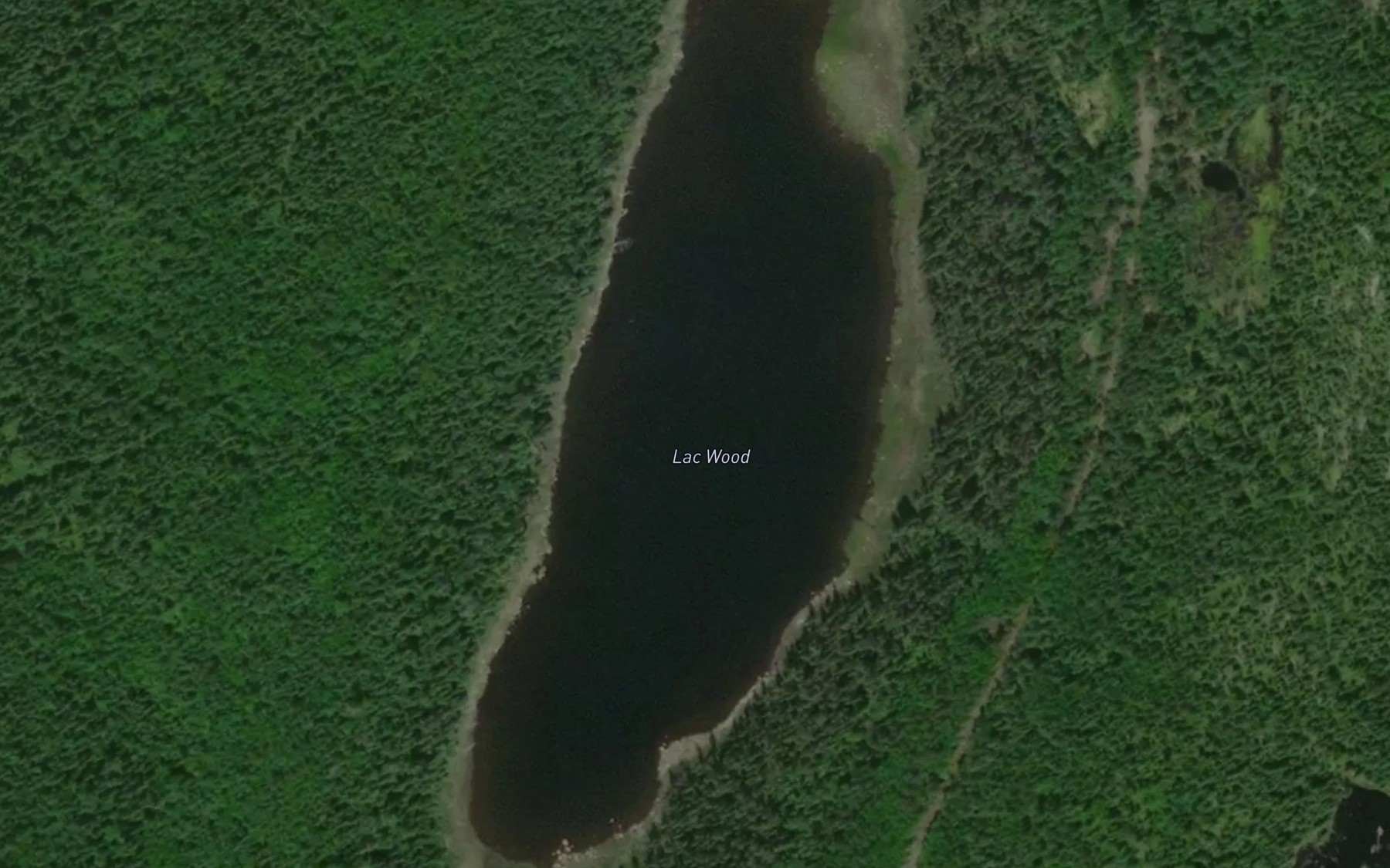 Satellite map of the Lac Wood