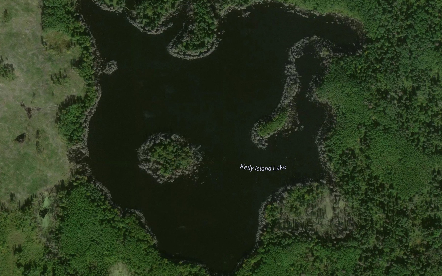 Satellite map of the Kelly Island Lake