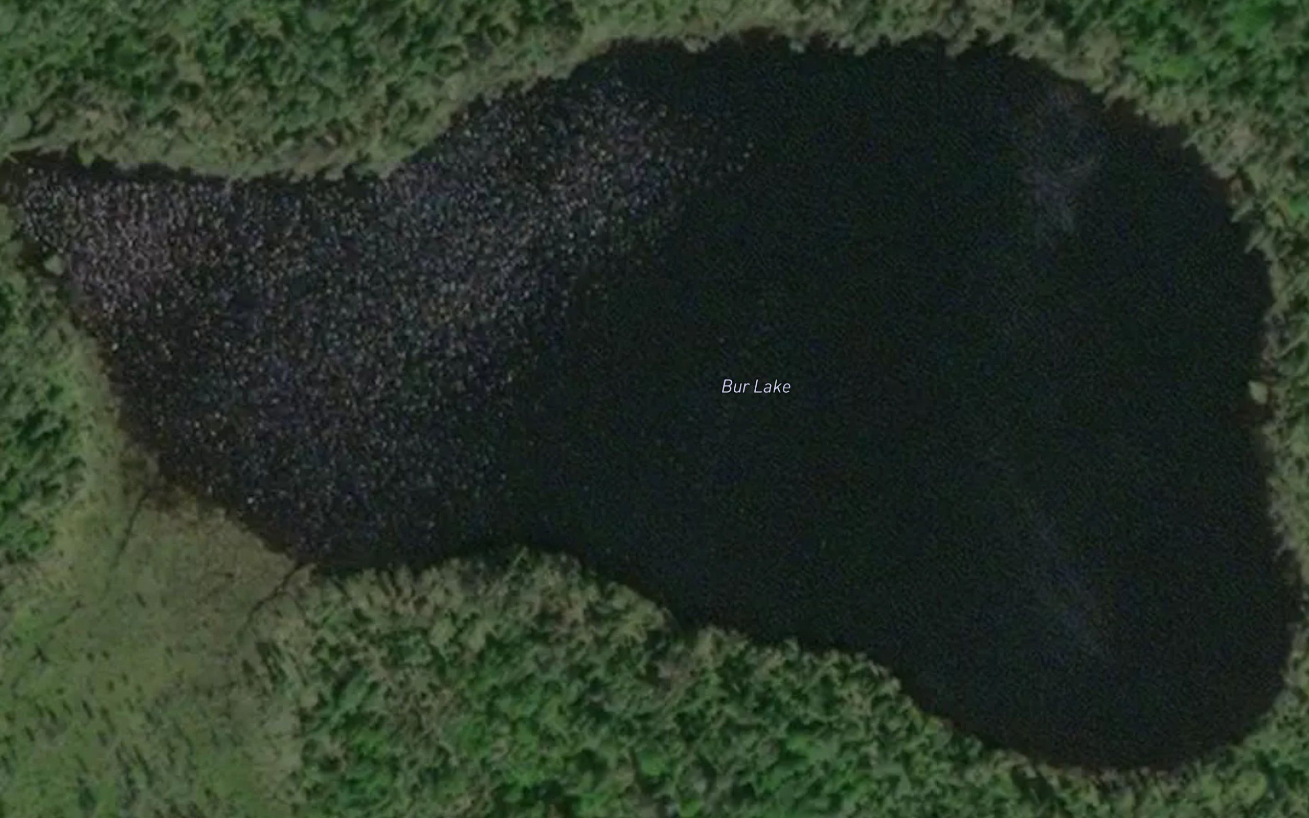 Bur Lake