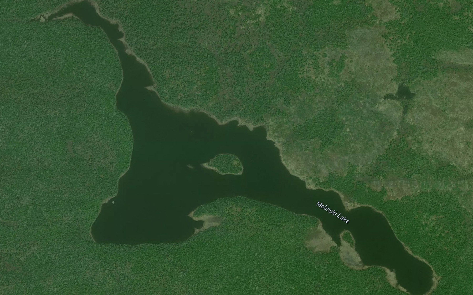 Satellite map of the Molinski Lake
