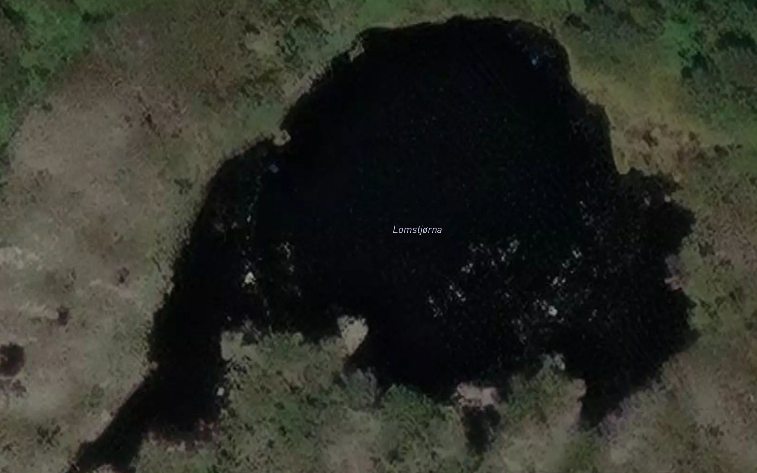 Lomstjorna