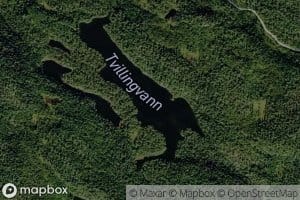 Tvillingvann