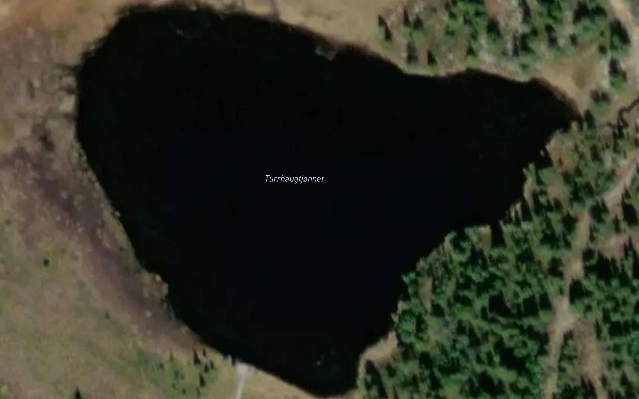 Turrhaugtjornet