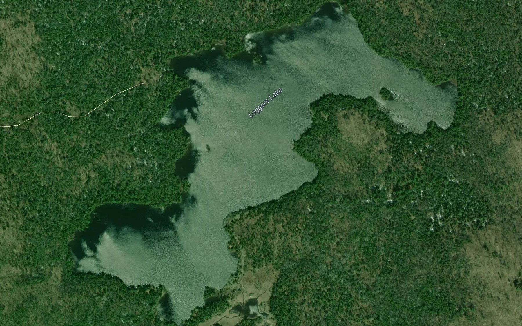 Satellite map of the Loggers Lake