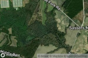 Trace Branch