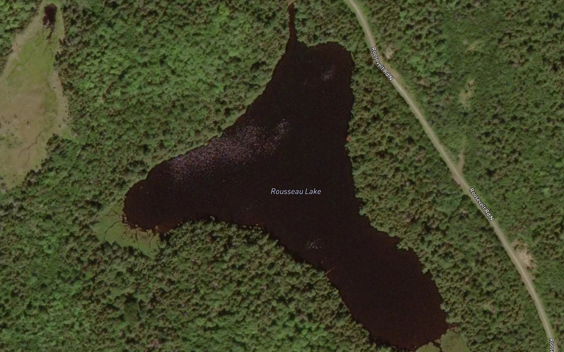 Satellite map of the Rousseau Lake