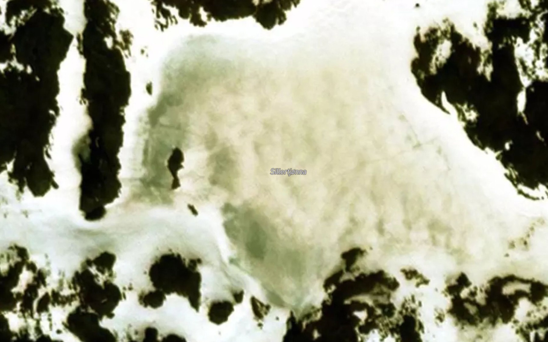 Satellite map of the Sildretjornin