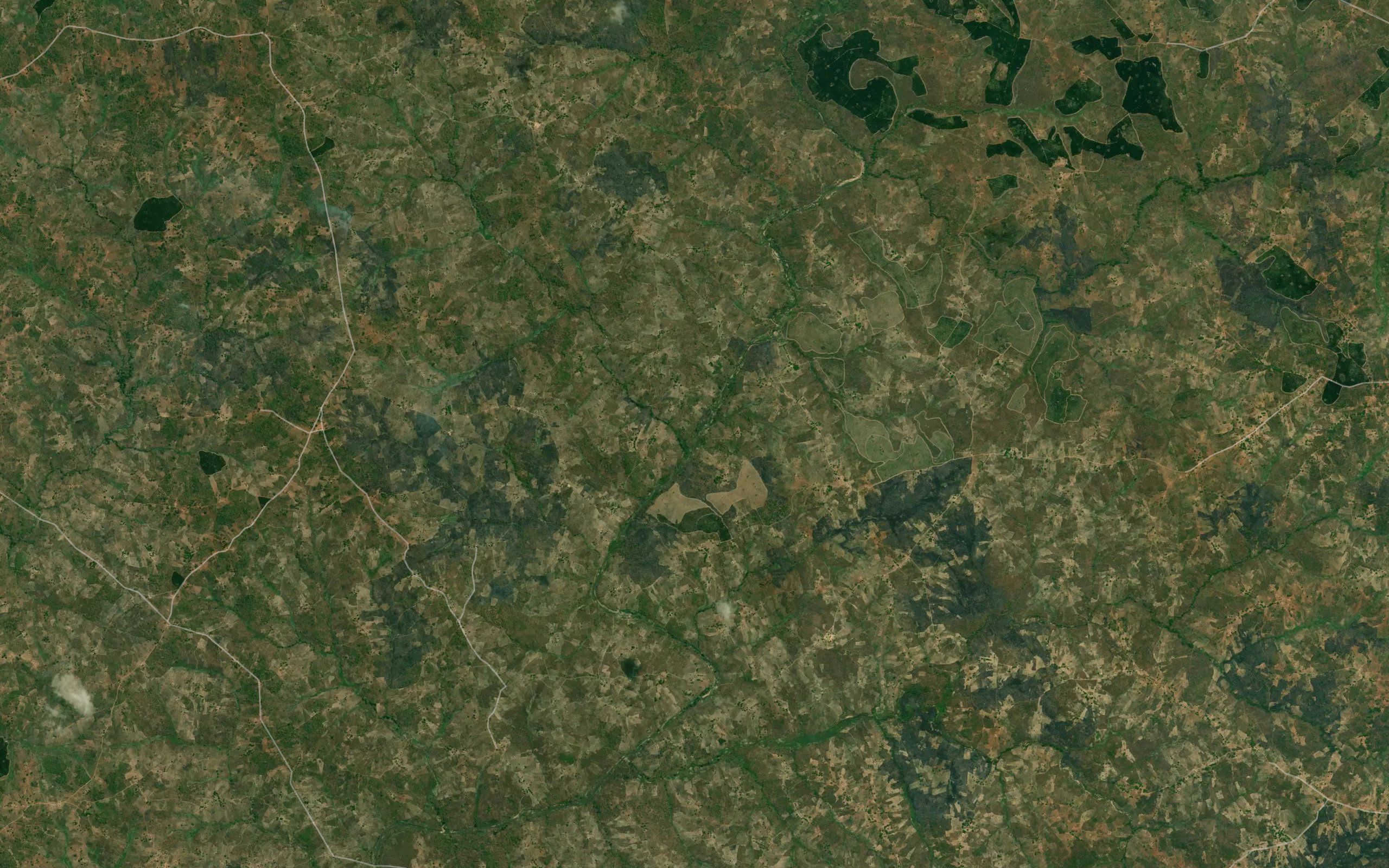 Namipurra
