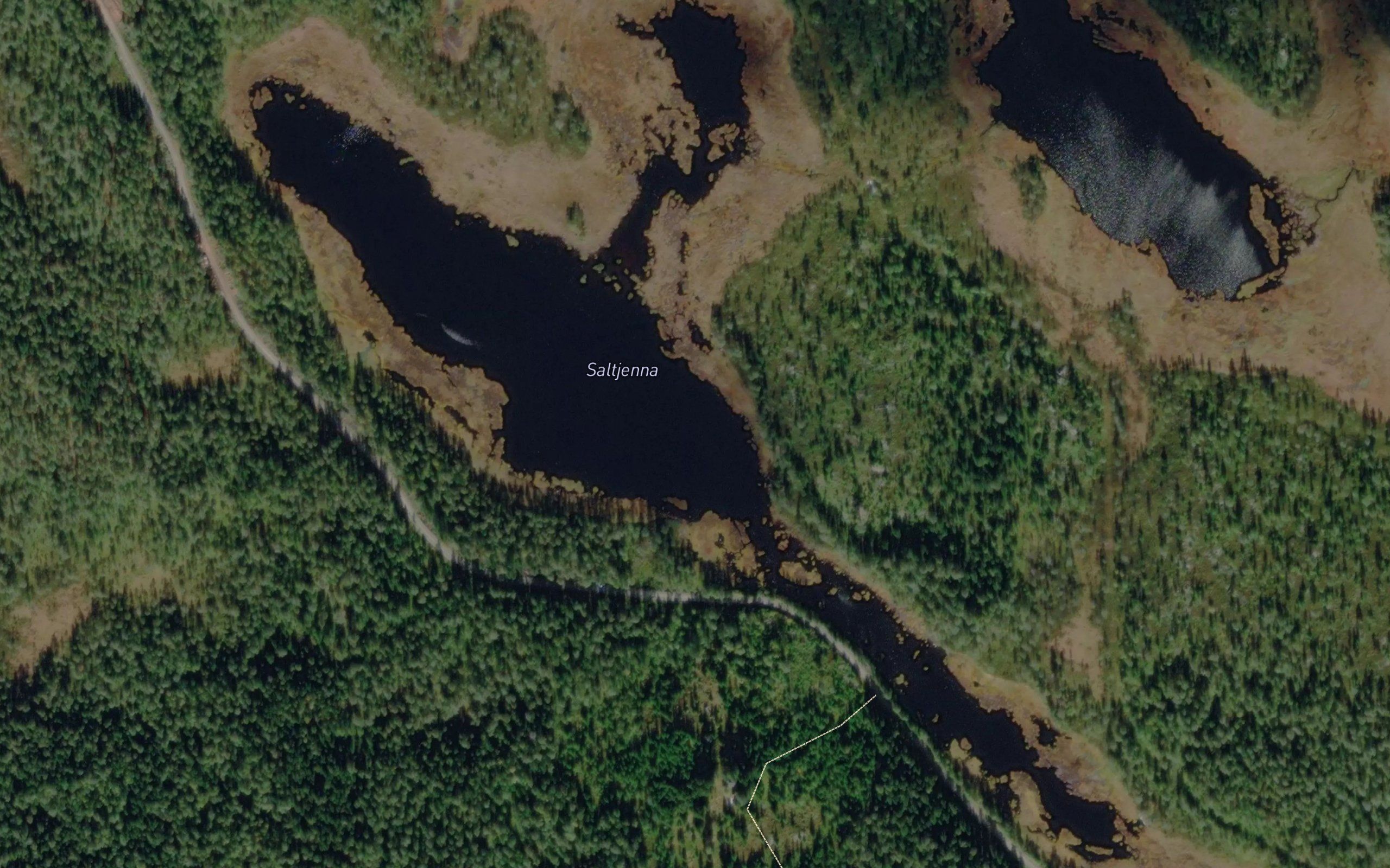 Salttjerna