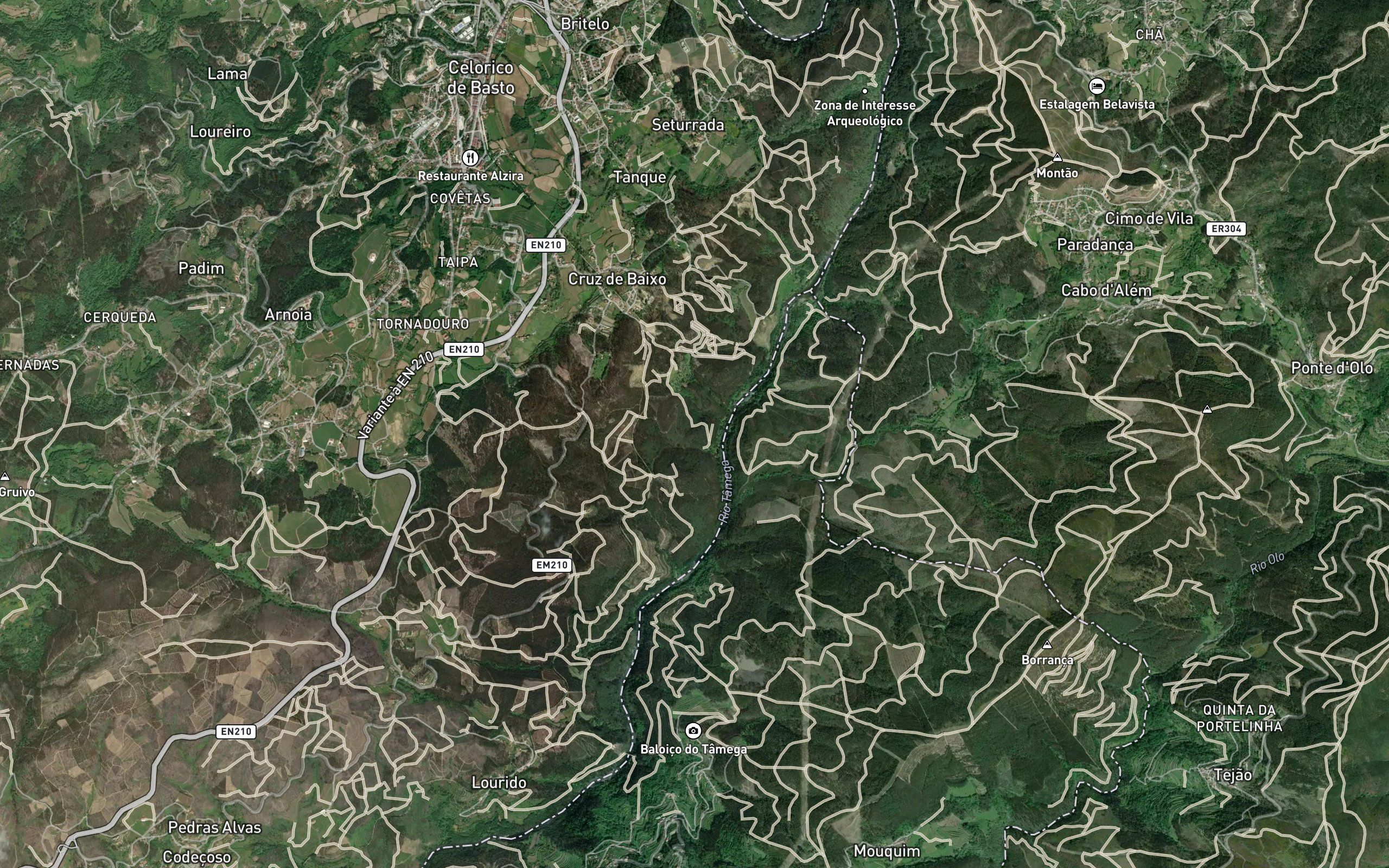 Ribeiro de Alem