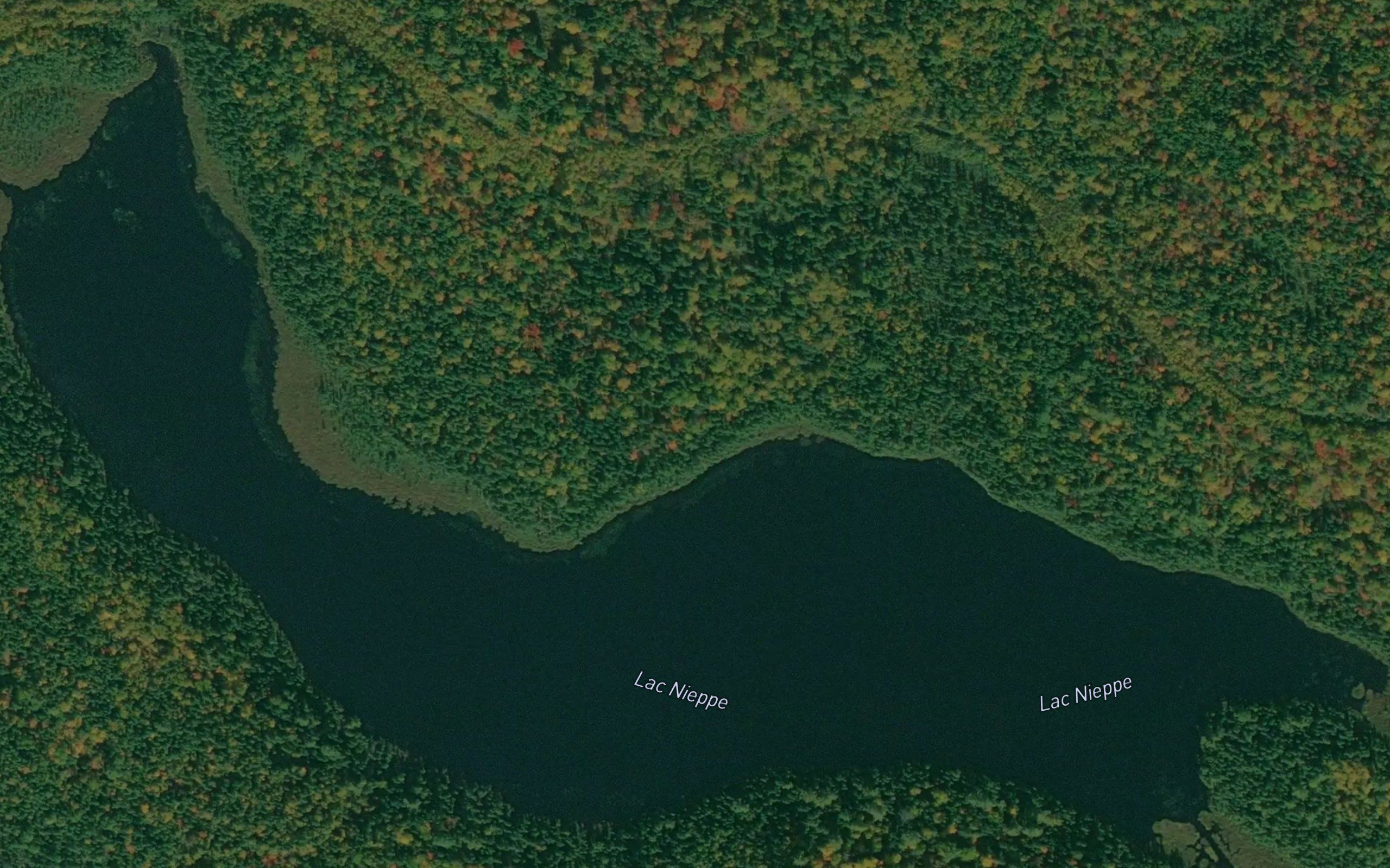 Lac Nieppe