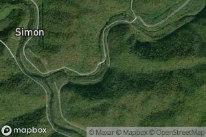 Satellite map of the Dicks Branch