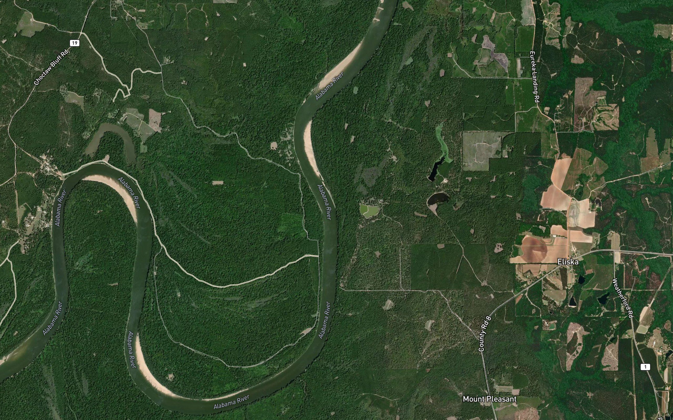 Tanyard Branch