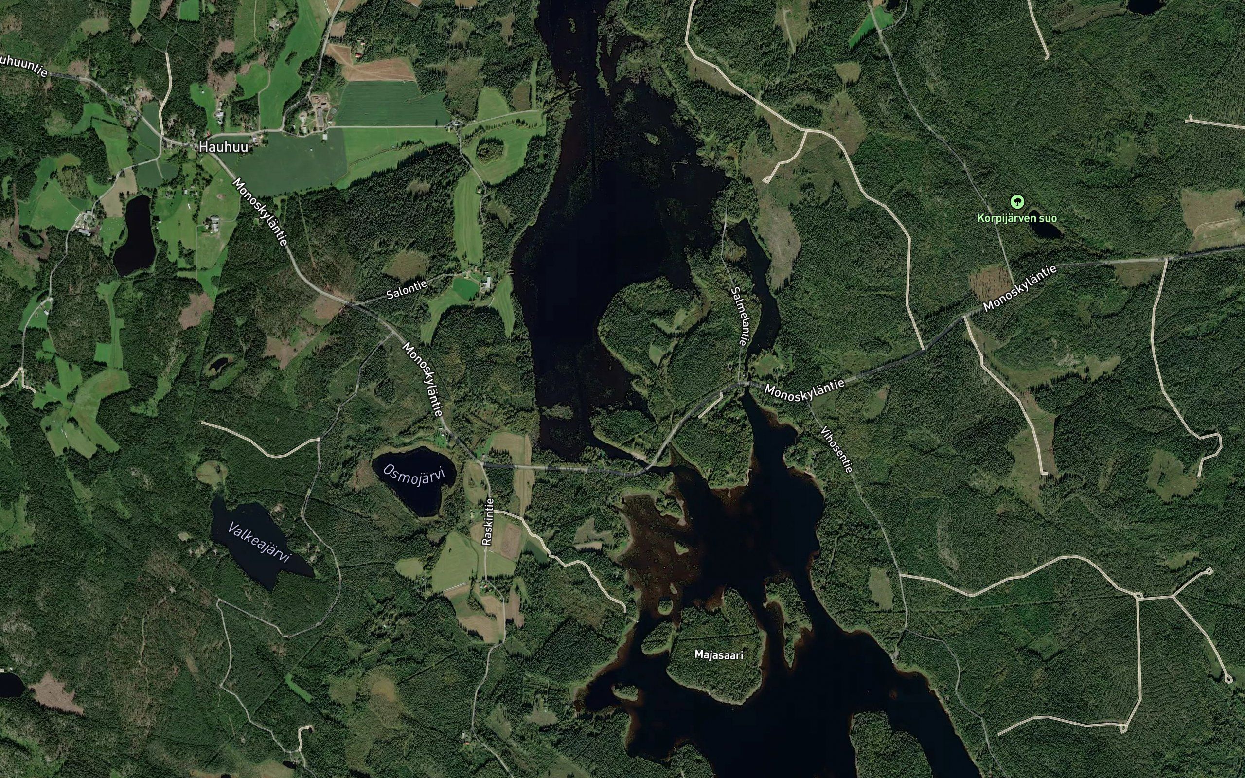 Putikko
