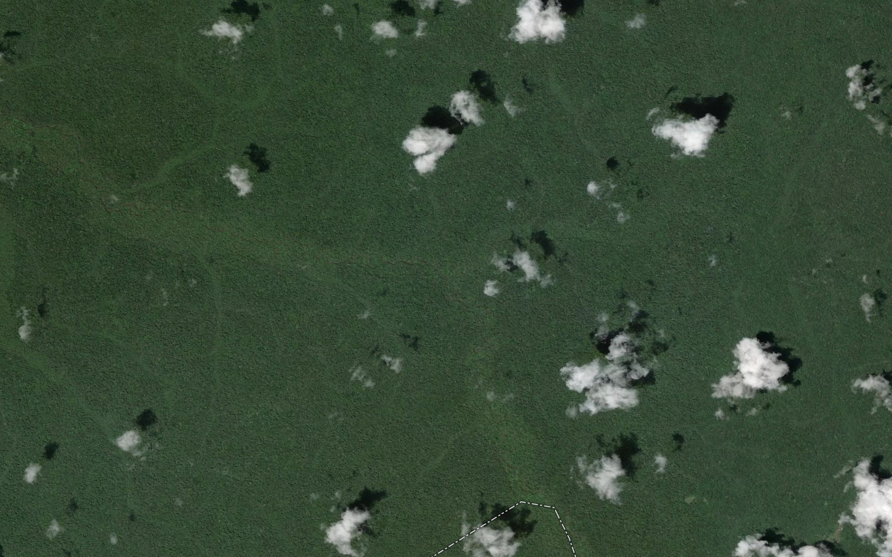 Satellite map of the Bulimba