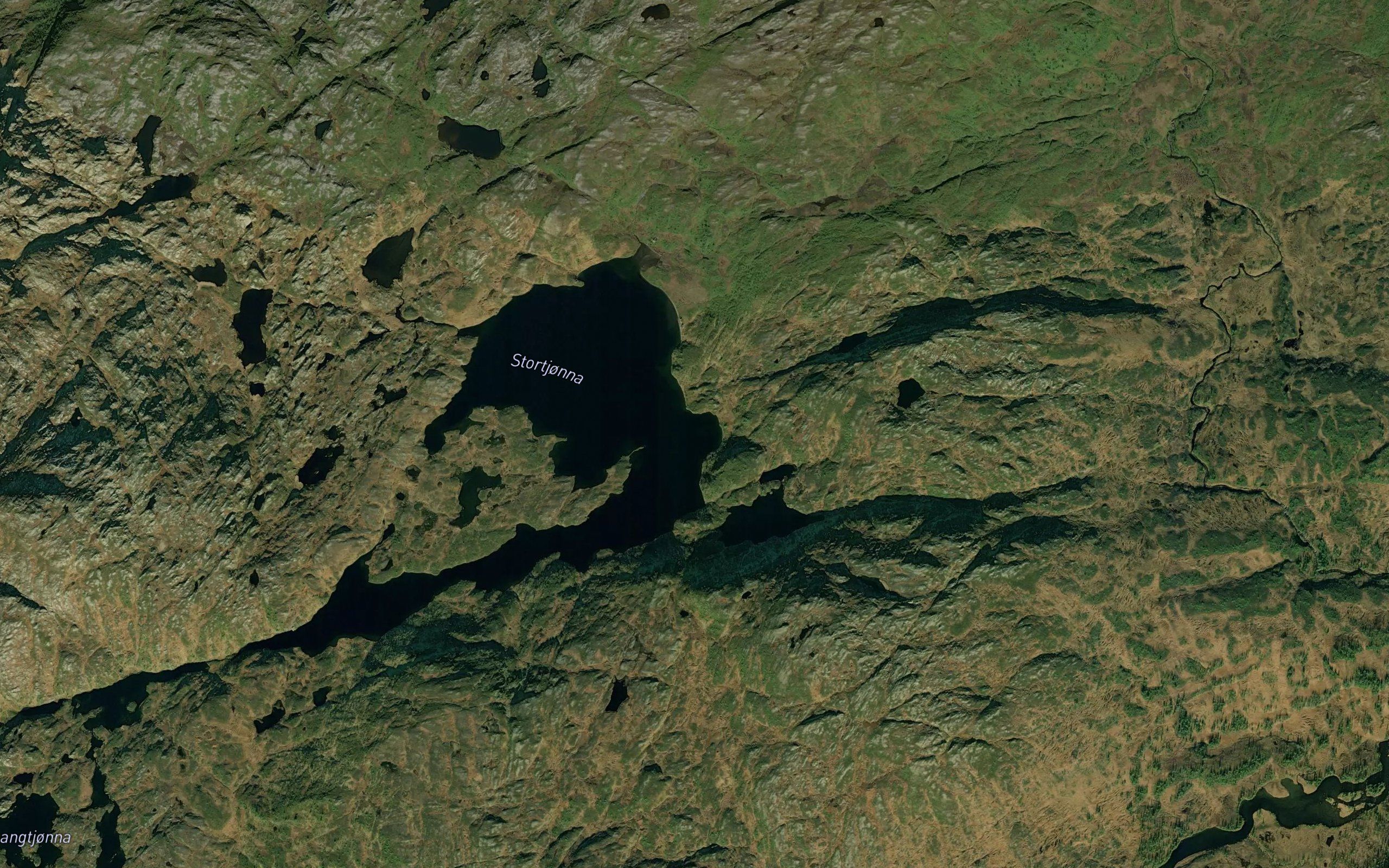 Stortjorna