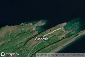 Storkevika