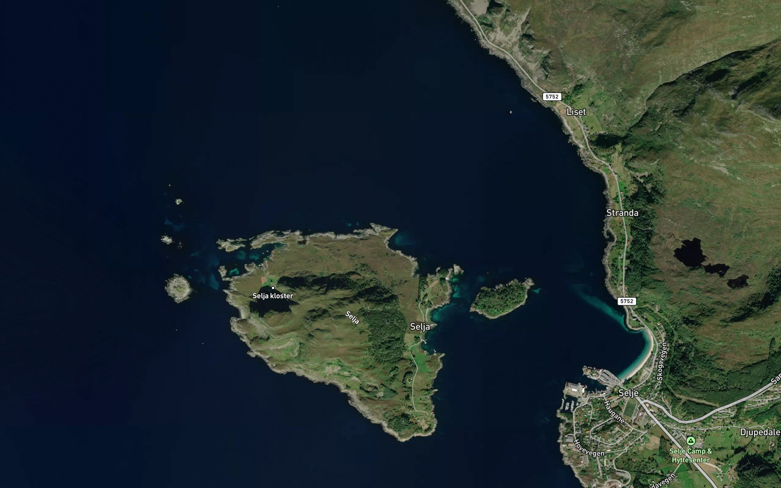 Lyngnesvika
