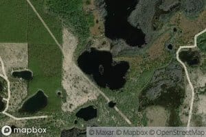 Black Pond