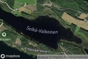 Selka-Valkeinen