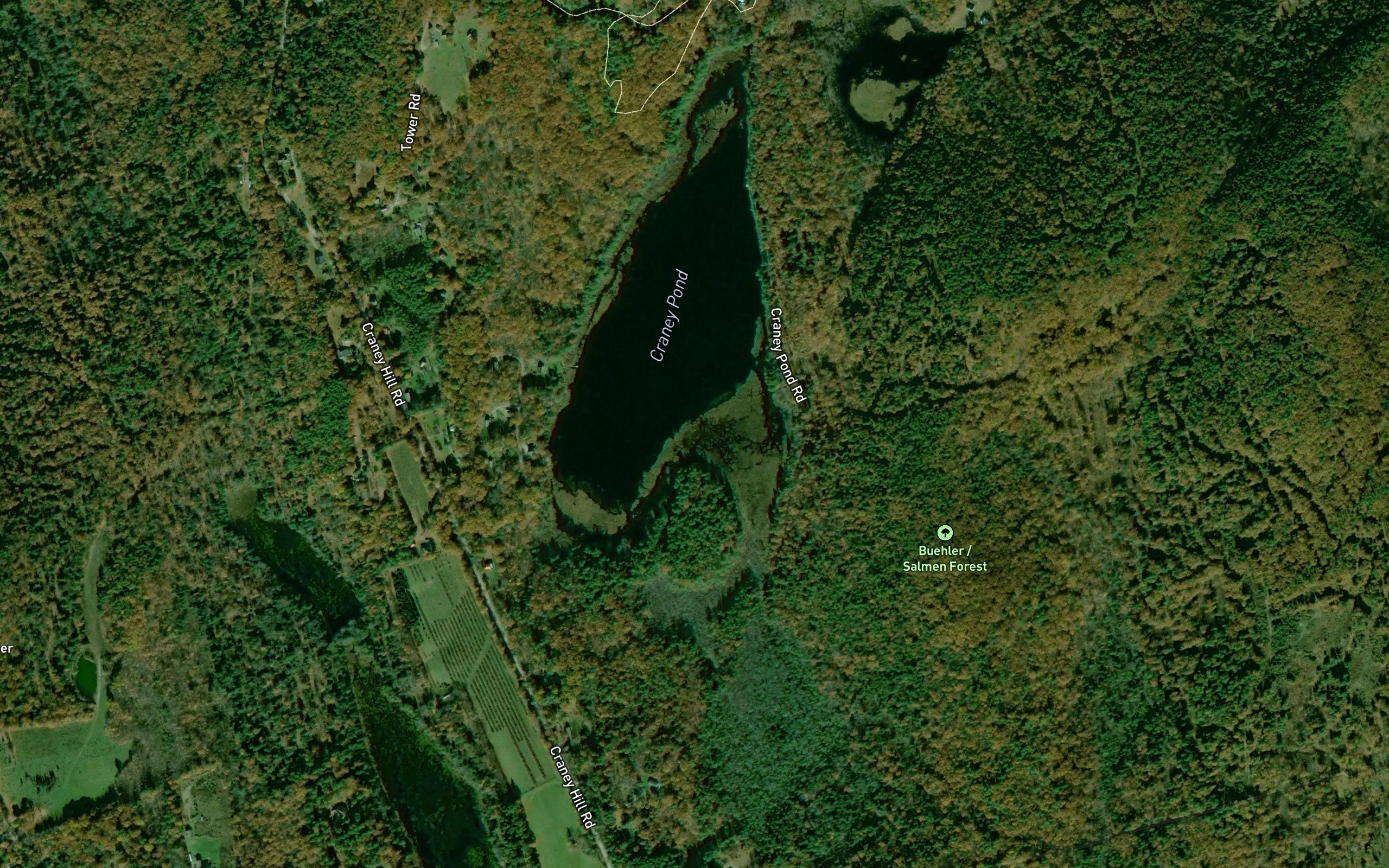Craney Pond