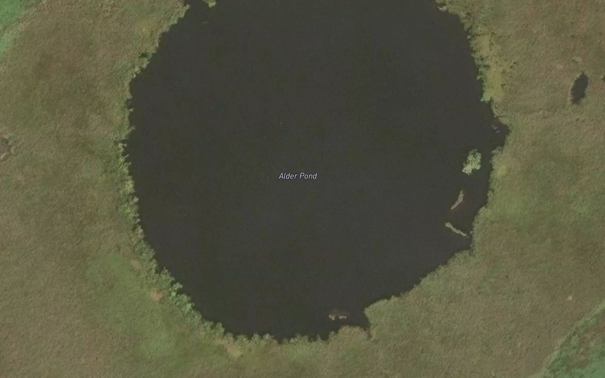 Alder Pond