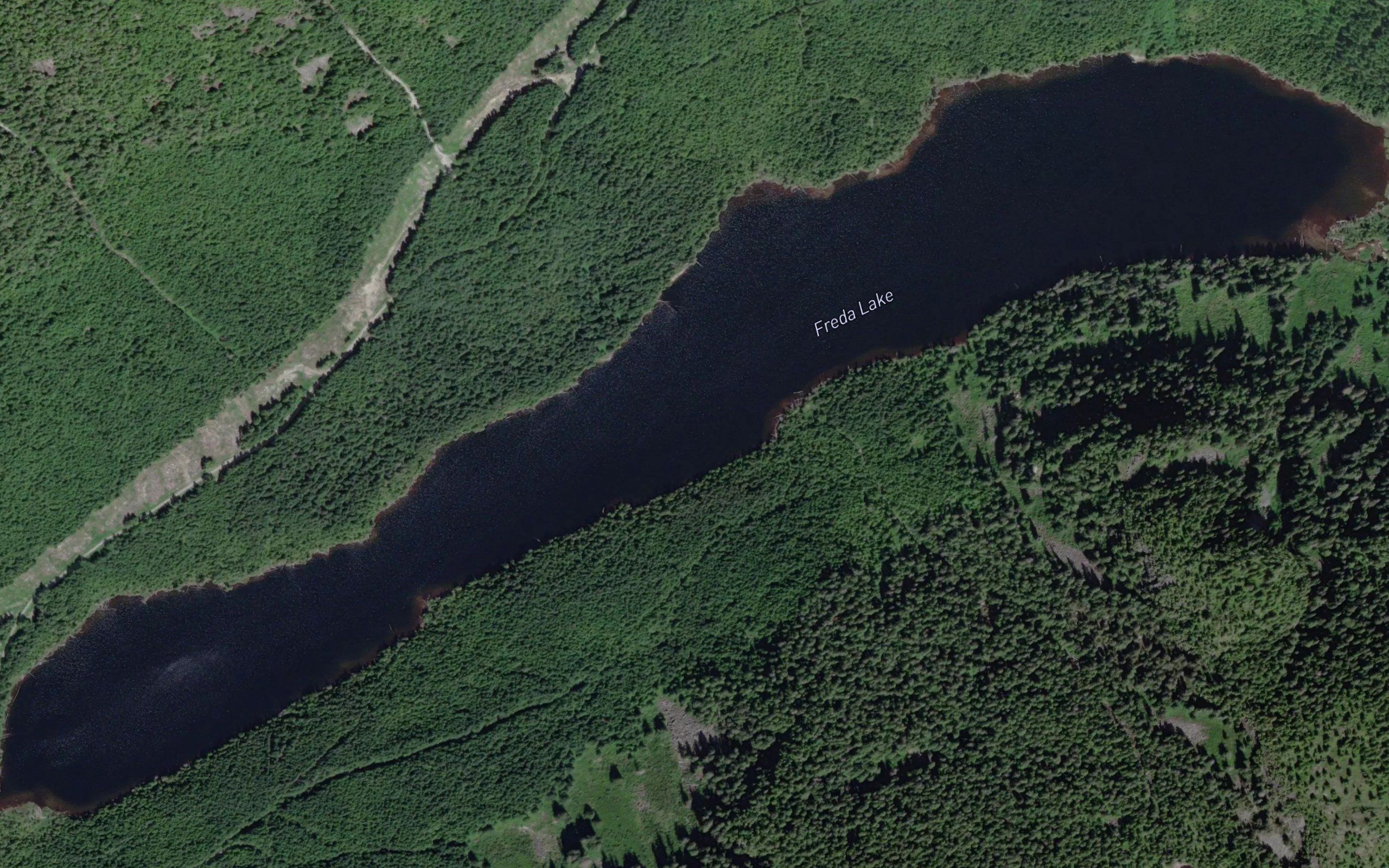 Freda Lake