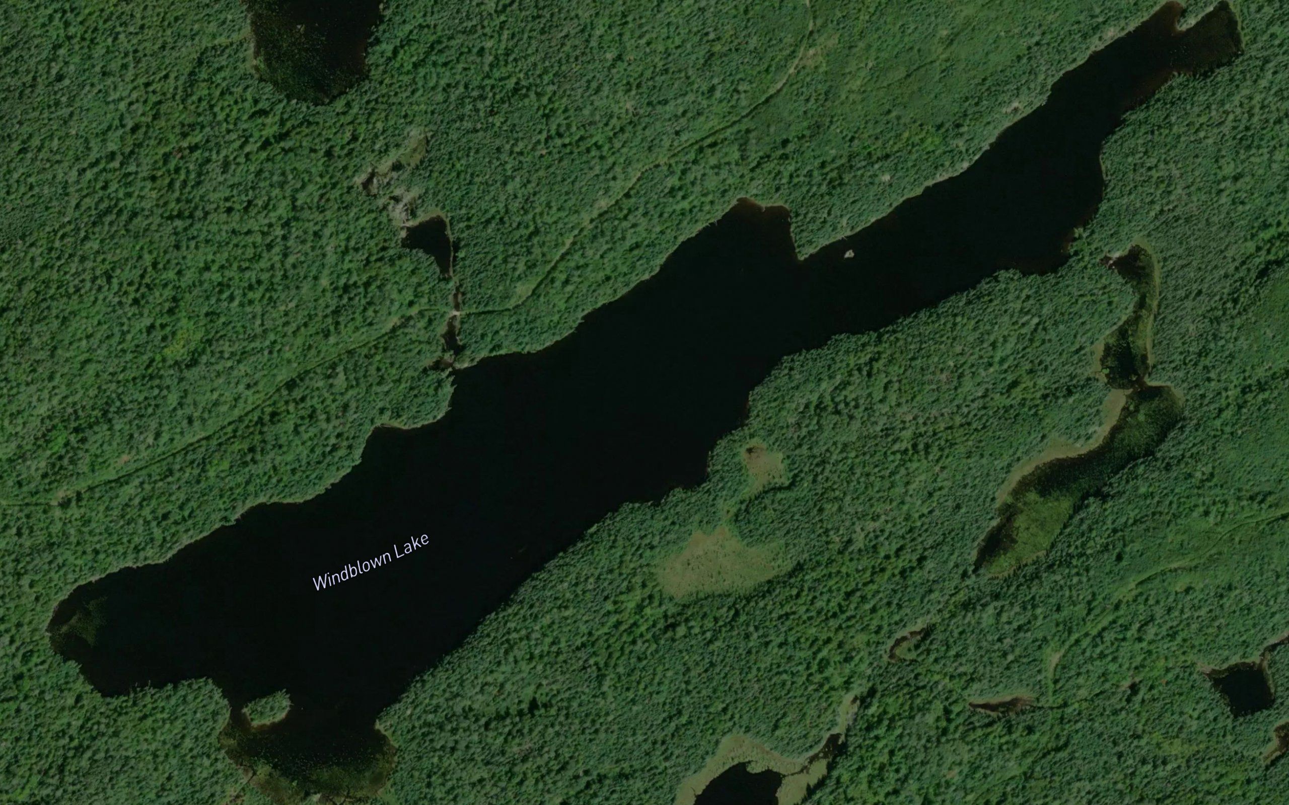 Windblown Lake
