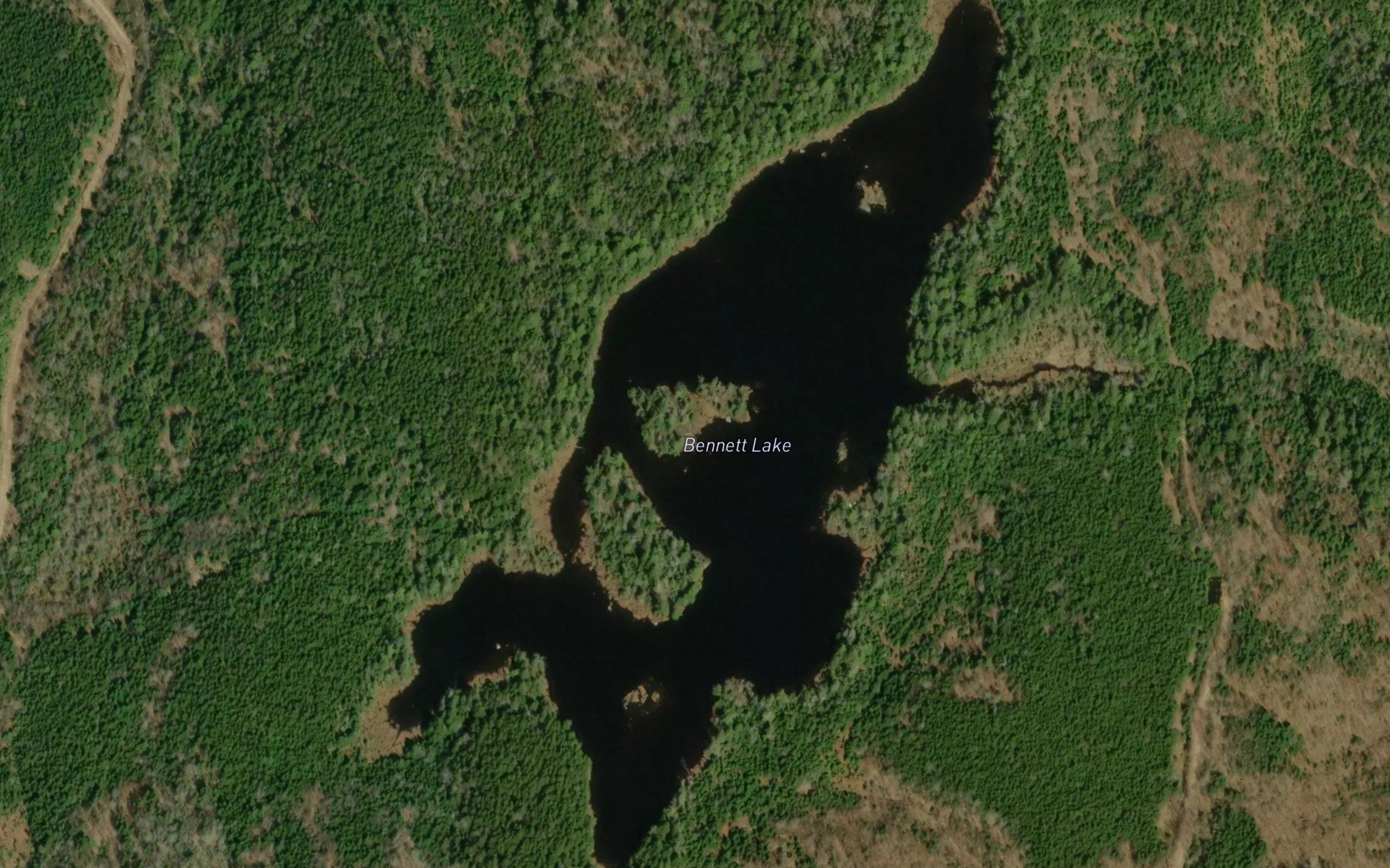 Bennett Lake
