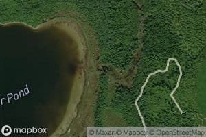 Dock Brook