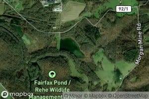 Fairfax Pond