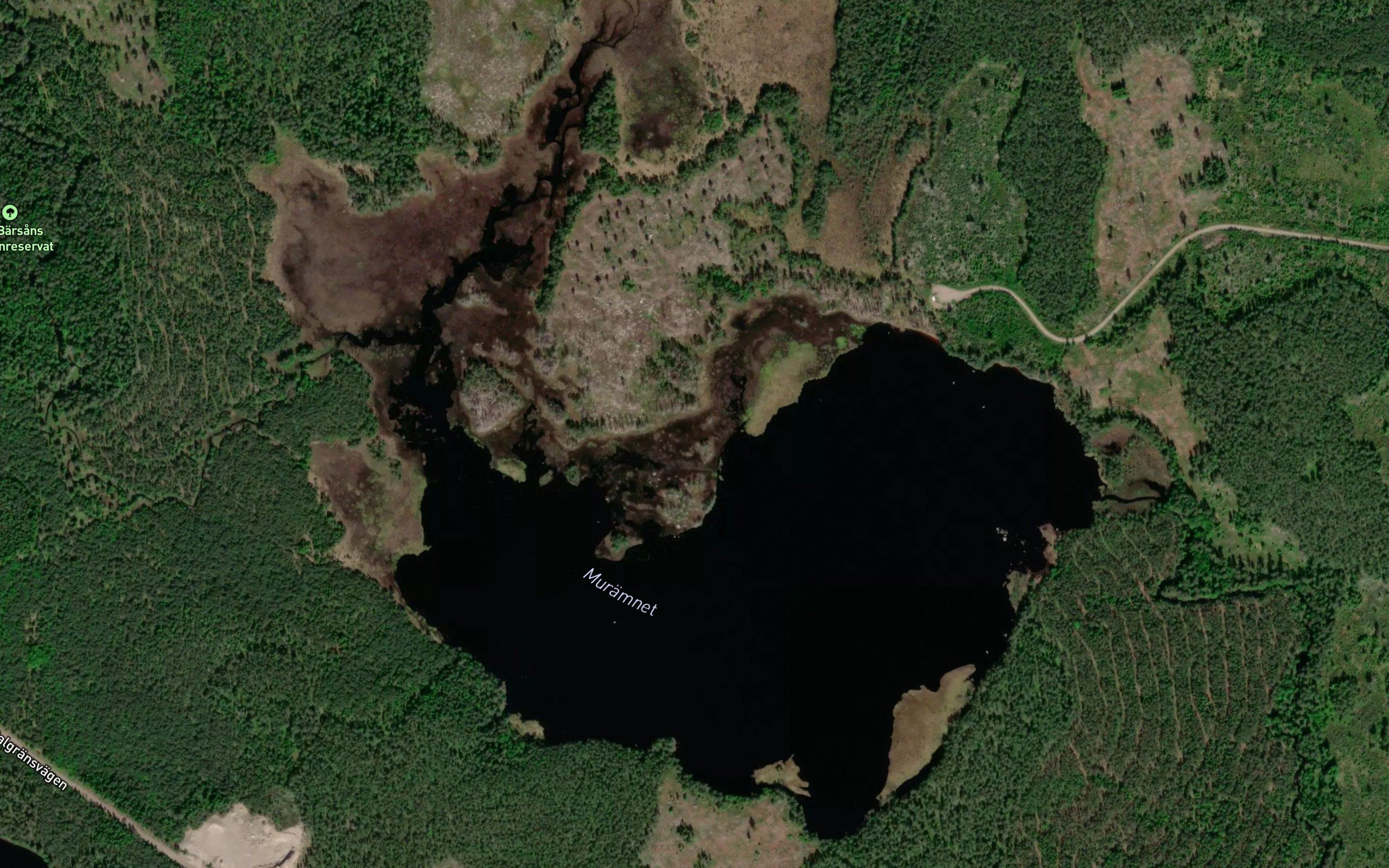 Muraemnet