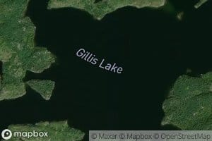 Gillis Lake