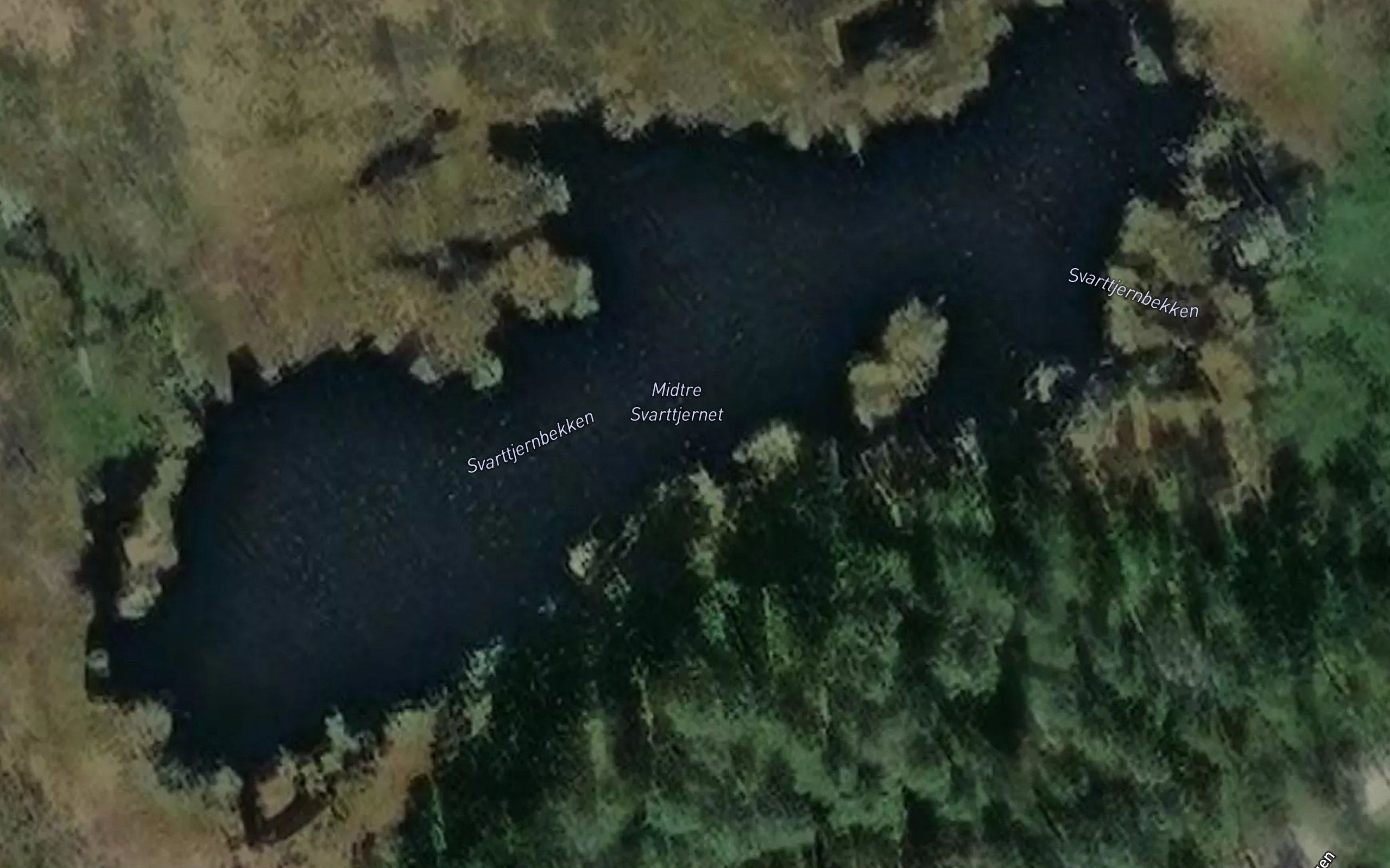 Midtre Svarttjennet