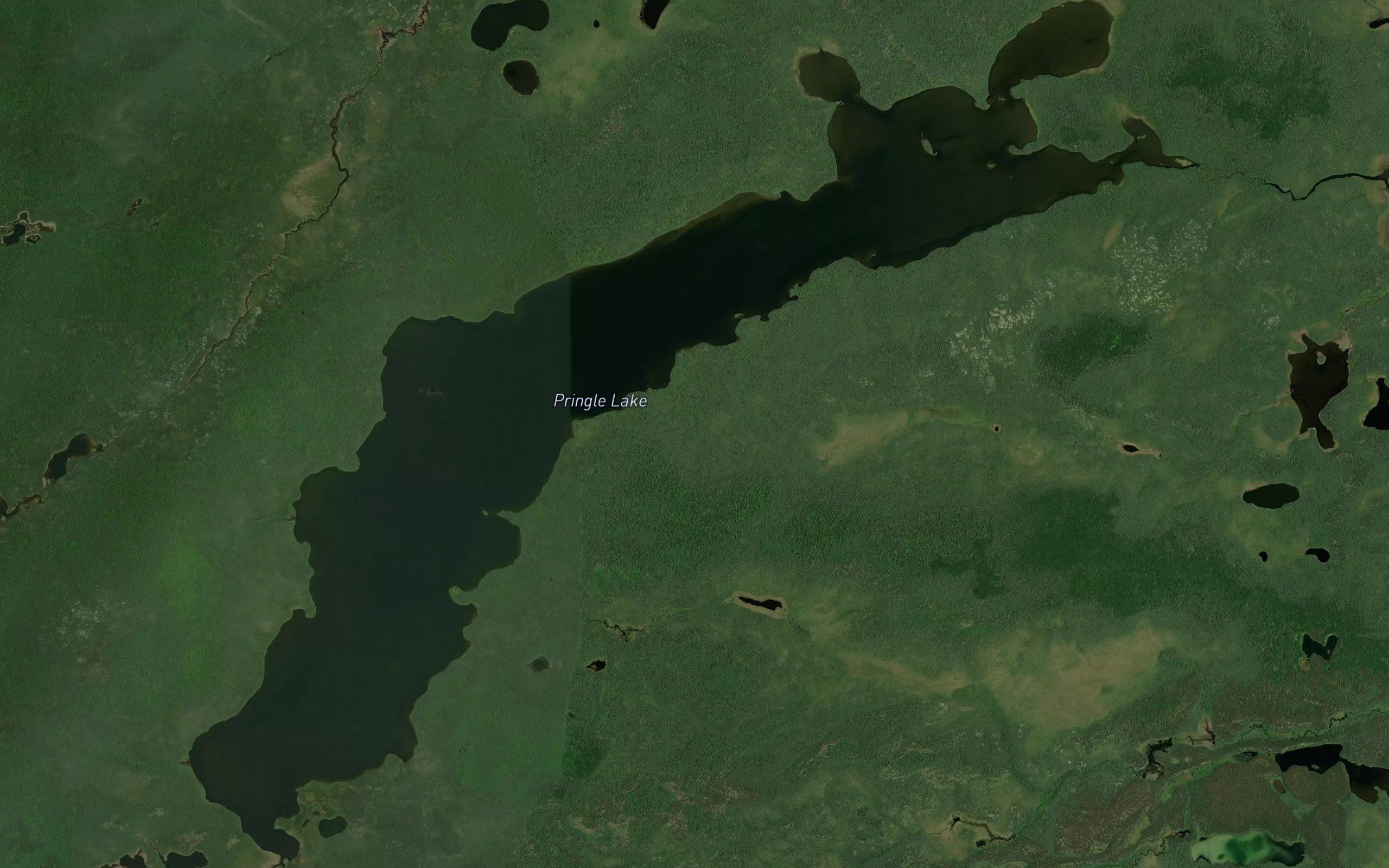 Pringle Lake