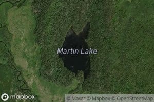 Martin Lake