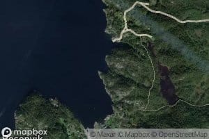Mortavika