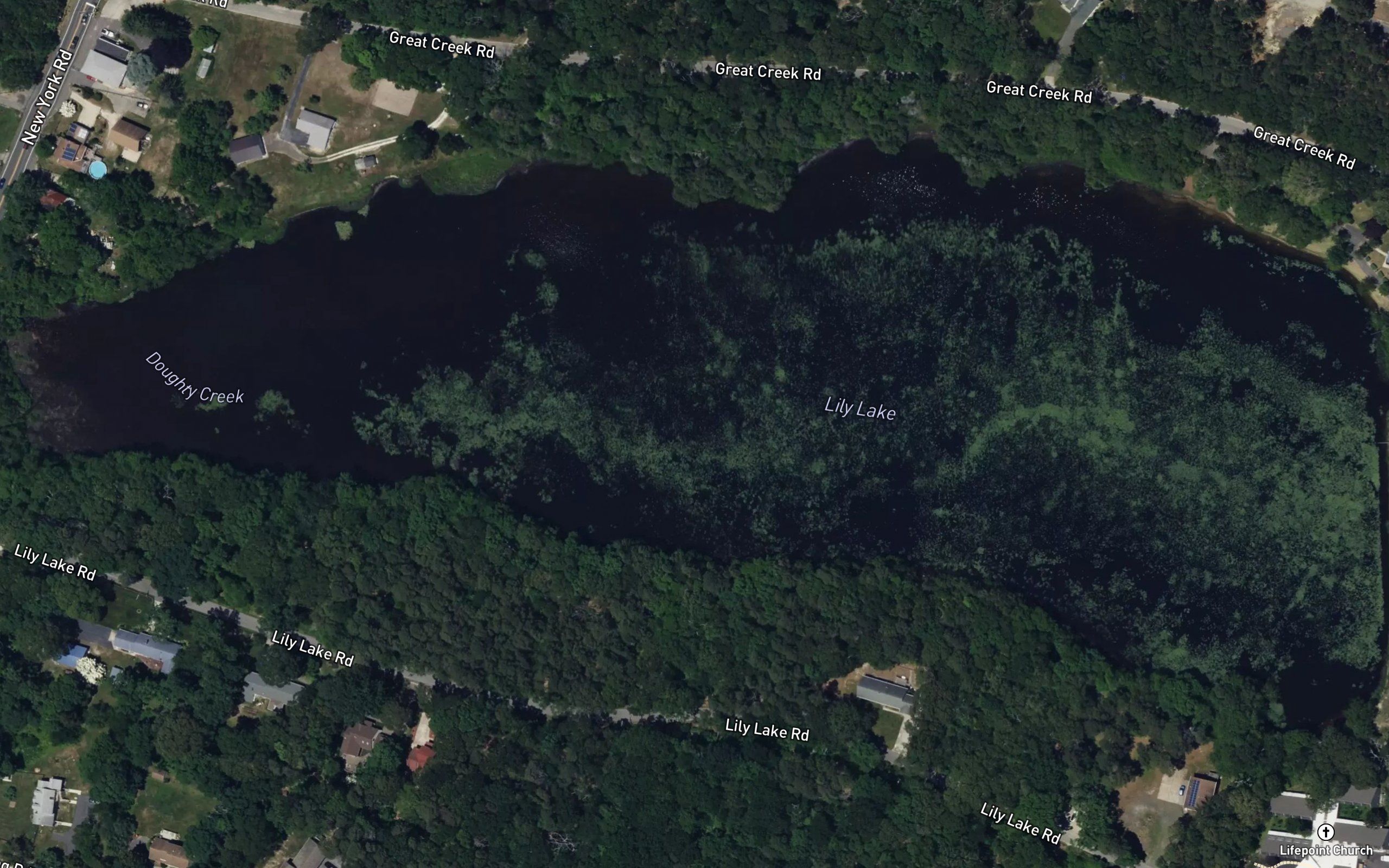 Lily Lake