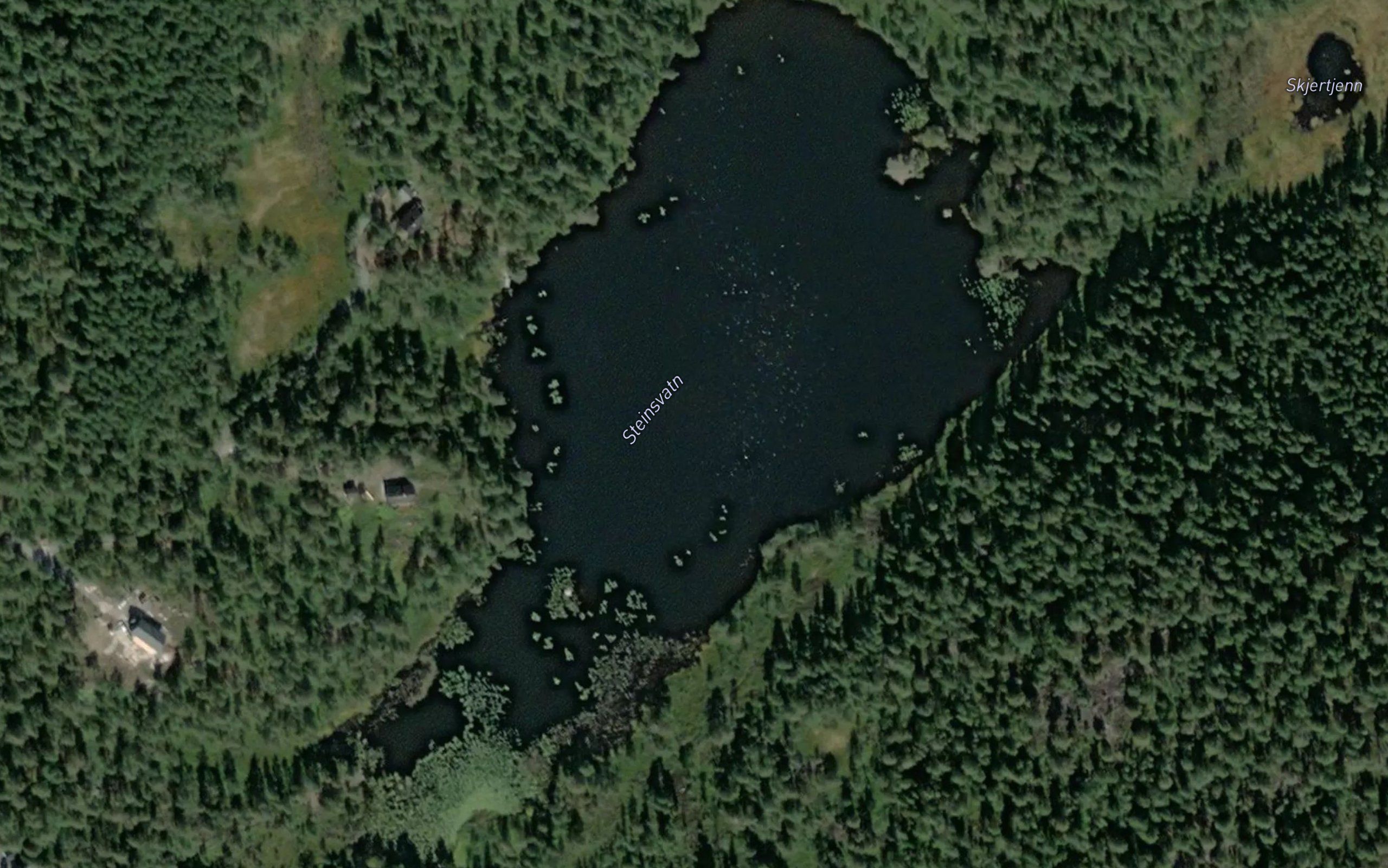 Steinsvannet
