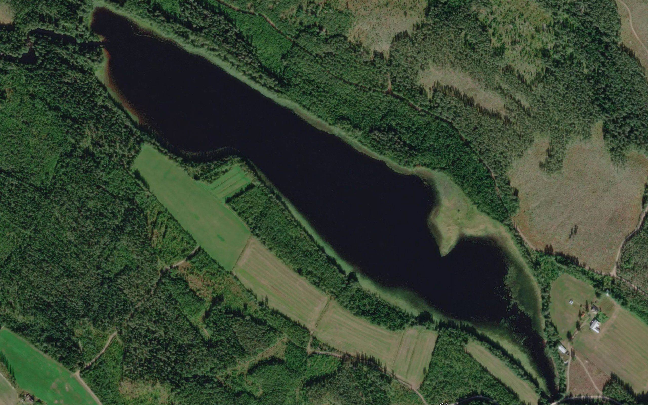 Murtonen