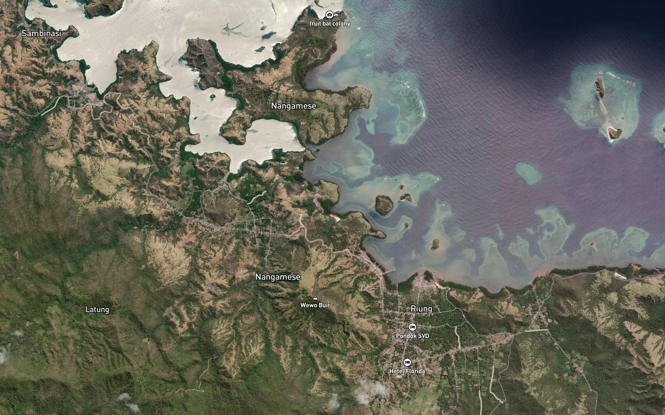 Teluk Watuzape