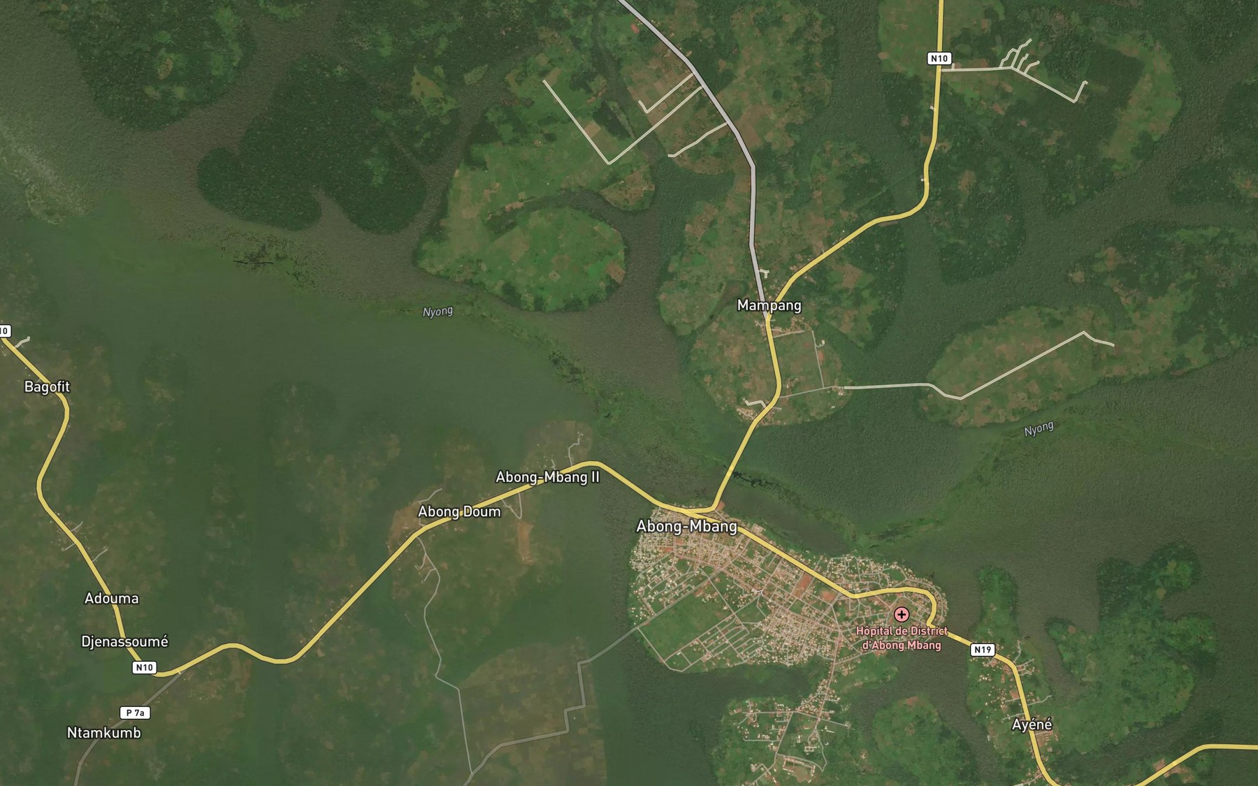 Satellite map of the Ngouongsie