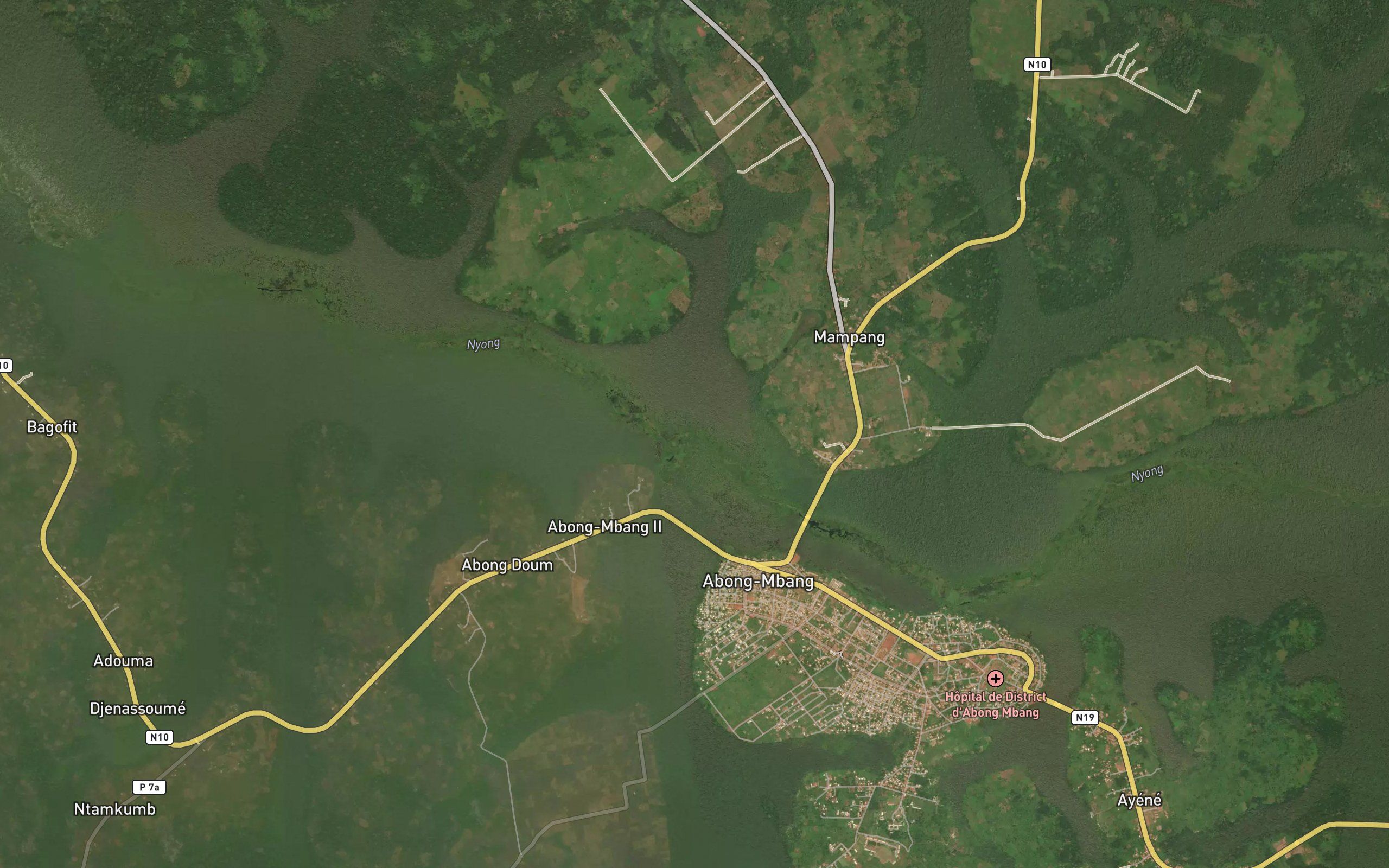 Ngouongsie