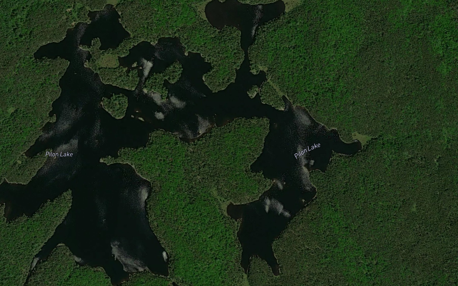 Satellite map of the Pilon Lake