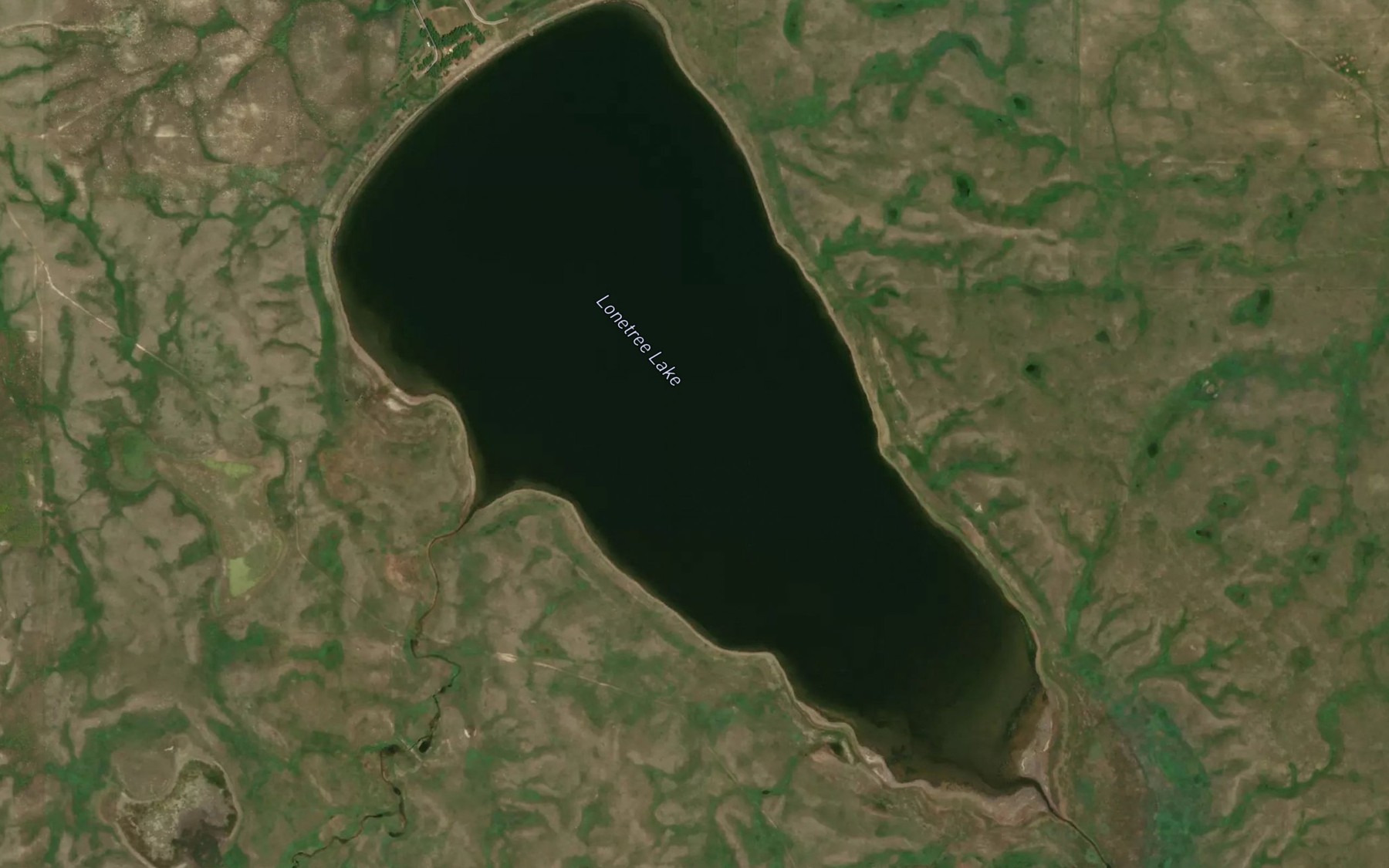 Satellite map of the Lonetree Lake