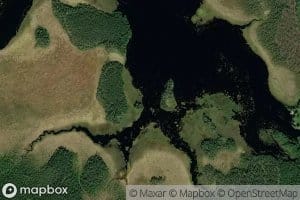 Leppapuro