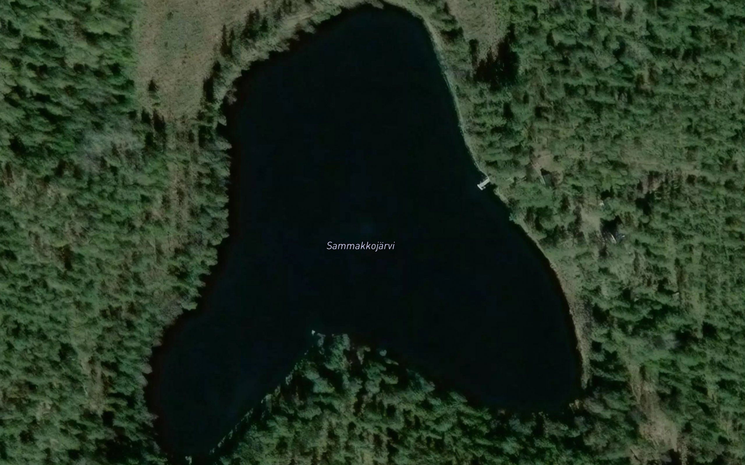 Sammakkojarvi