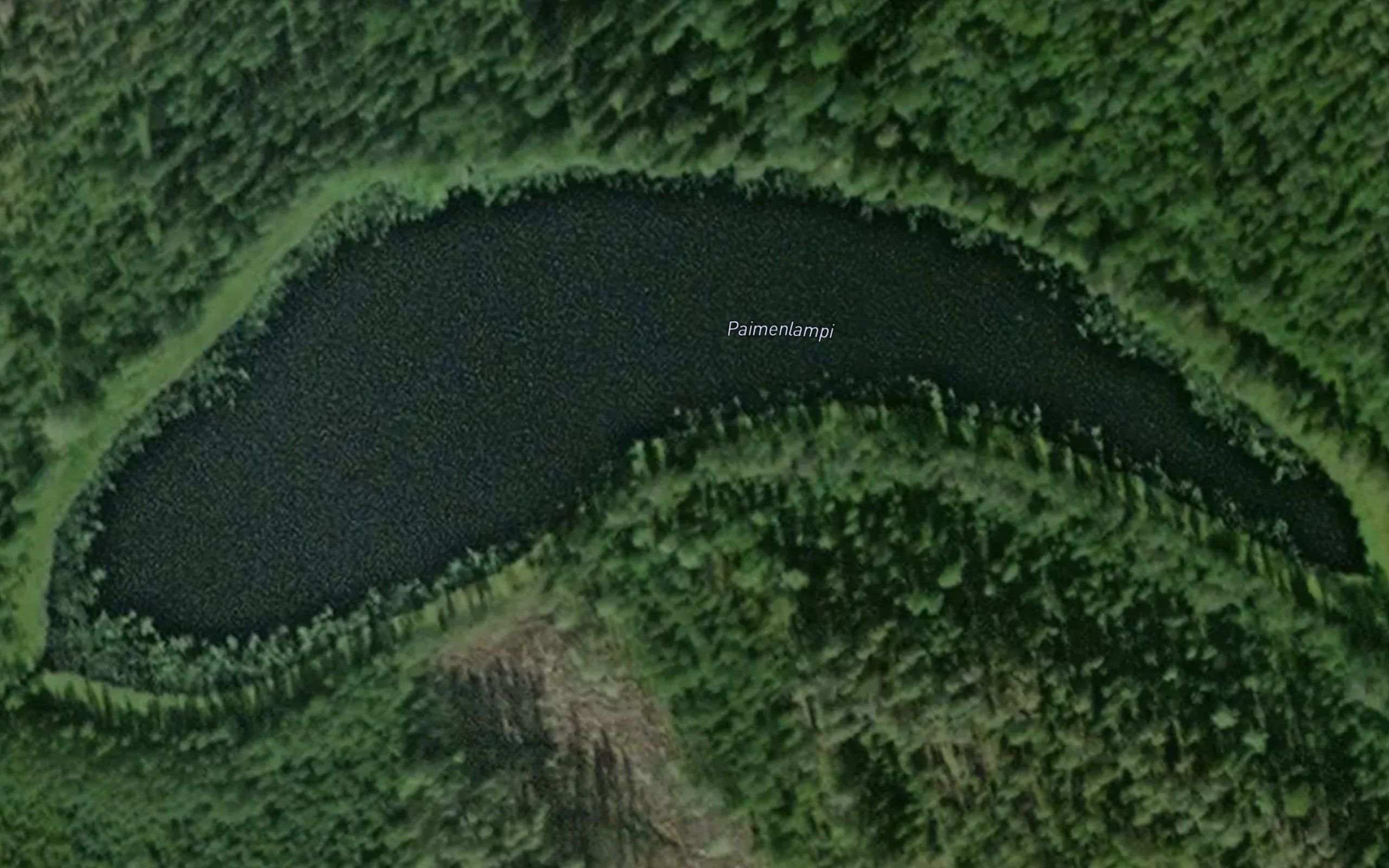 Paimenlampi