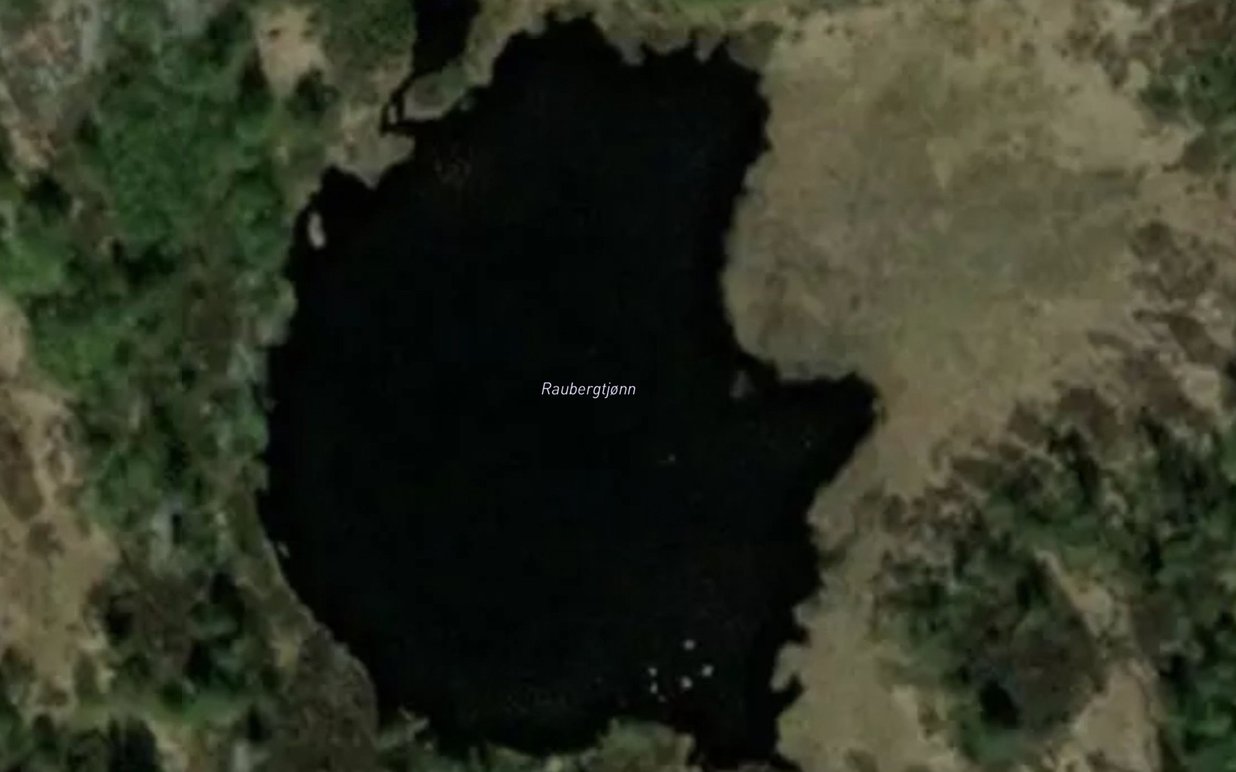 Satellite map of the Raubergtjonn